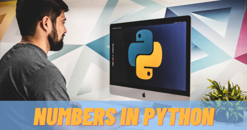 numbers-in-python-quick