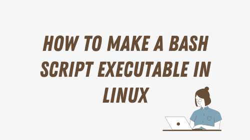 bash-linux-how-to-make-a-bash-script-executable-in-linux-quick